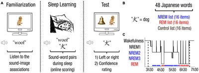 Learning New Vocabulary Implicitly During Sleep Transfers With Cross-Modal Generalization Into Wakefulness